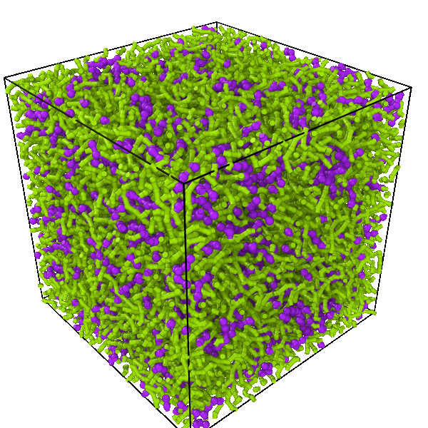 tetramer_chain_bond