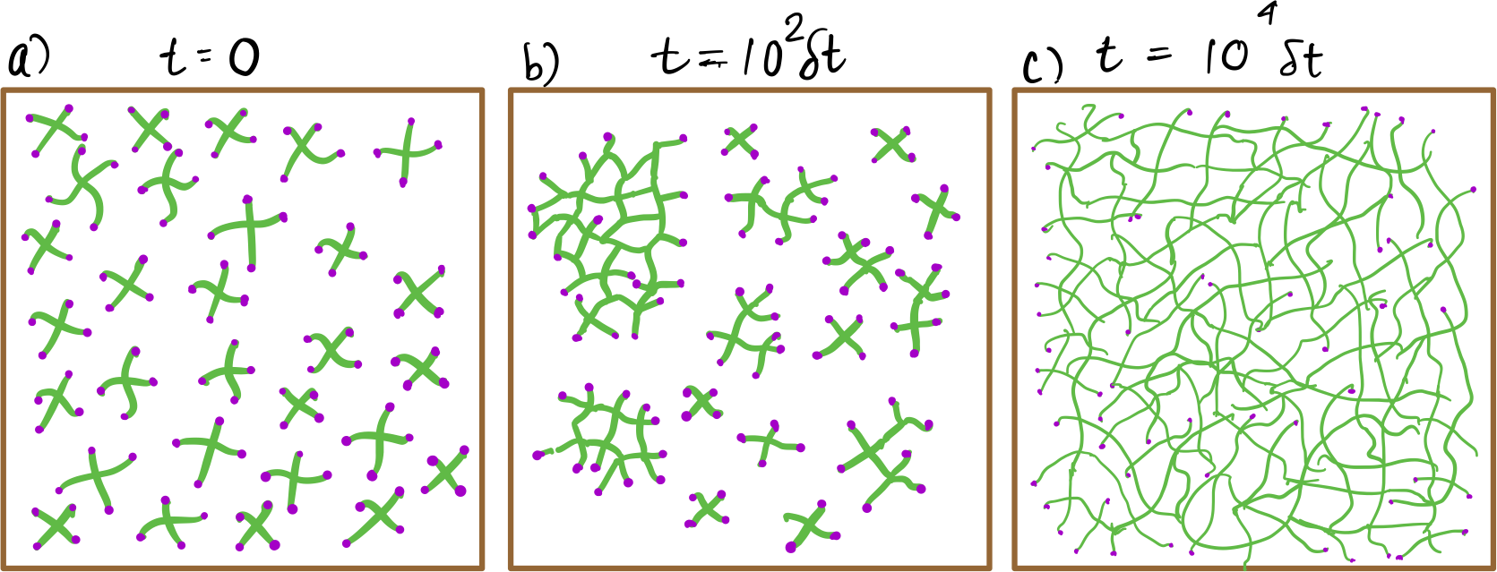 gelation