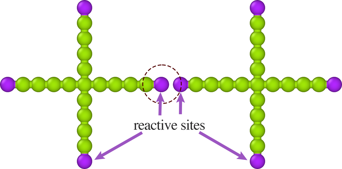 tetramer_chain_bond