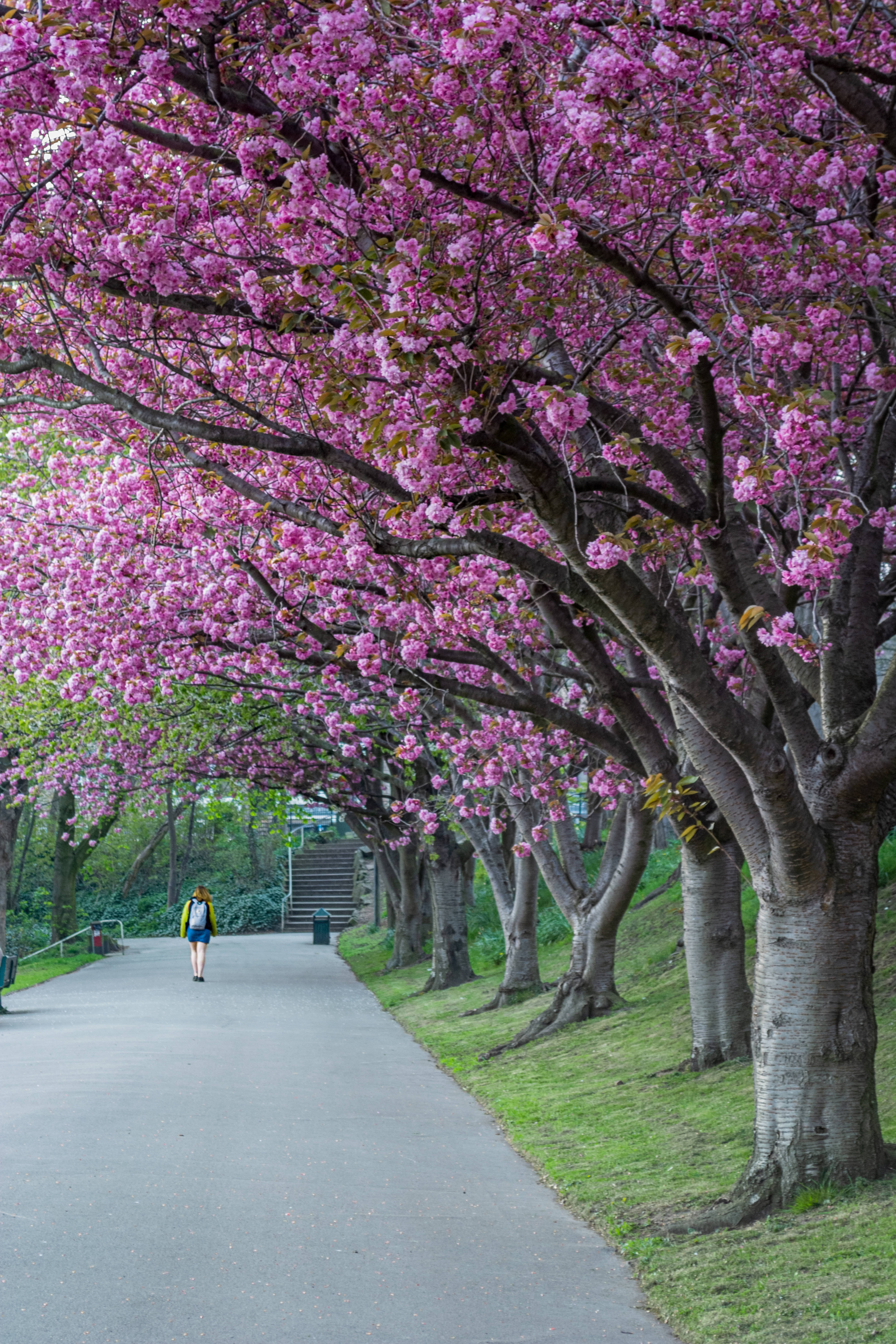 Spring